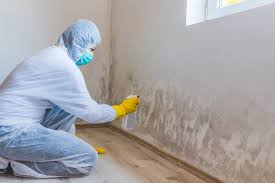 Best Water Damage & Mold Remediation  in Alexandria, LA