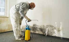 Best Biohazard Mold Removal  in Alexandria, LA