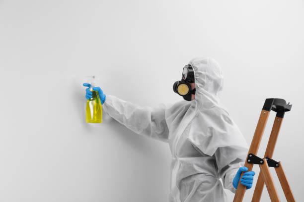 Best Comprehensive Air Testing for Mold Contaminants  in Alexandria, LA